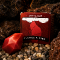 3ae4cbbd-765c-42bf-ae84-f898cde8209d.png